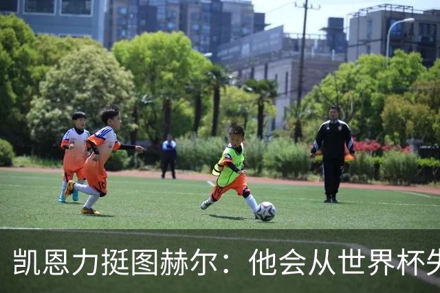 凯恩力挺图赫尔：他会从世界杯失利中学到东西