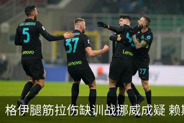 格伊腿筋拉伤缺训战挪威成疑 赖斯胃部不适和队友隔离